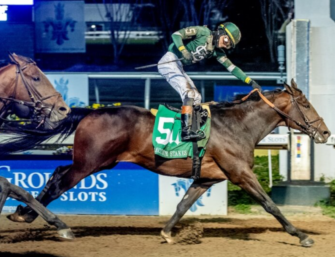 Golden Tempo, the 30-1 dark horse pick for the 2026 Kentucky Derby at Churchill Downs